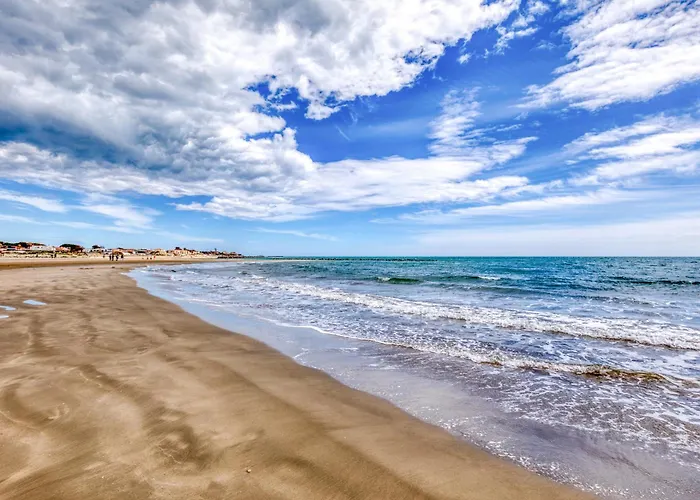 Les Ptits Loups, D'agde